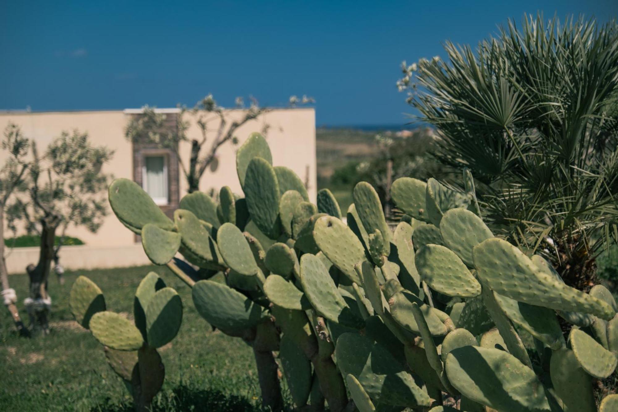 New Exclusive Lodges, Marzamemi, Noto Pachino Exterior foto